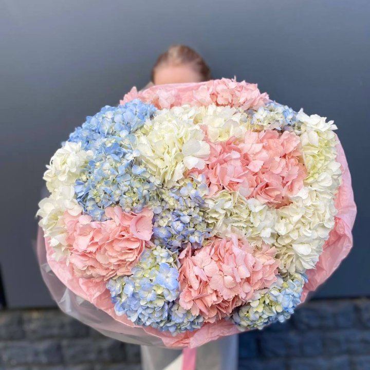 19 гортензий микс в Петрозаводске