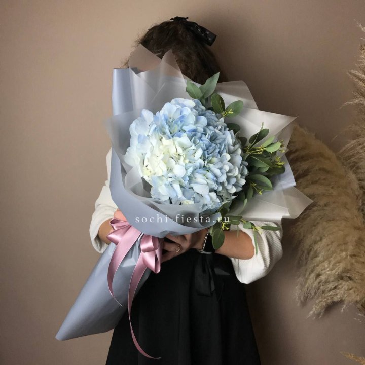 Гортензия Уно в Петрозаводске