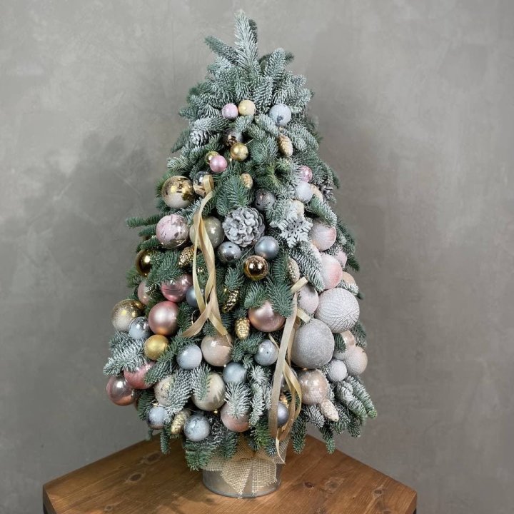 Новогодняя ёлка из веток датского нобилиса в Петрозаводске