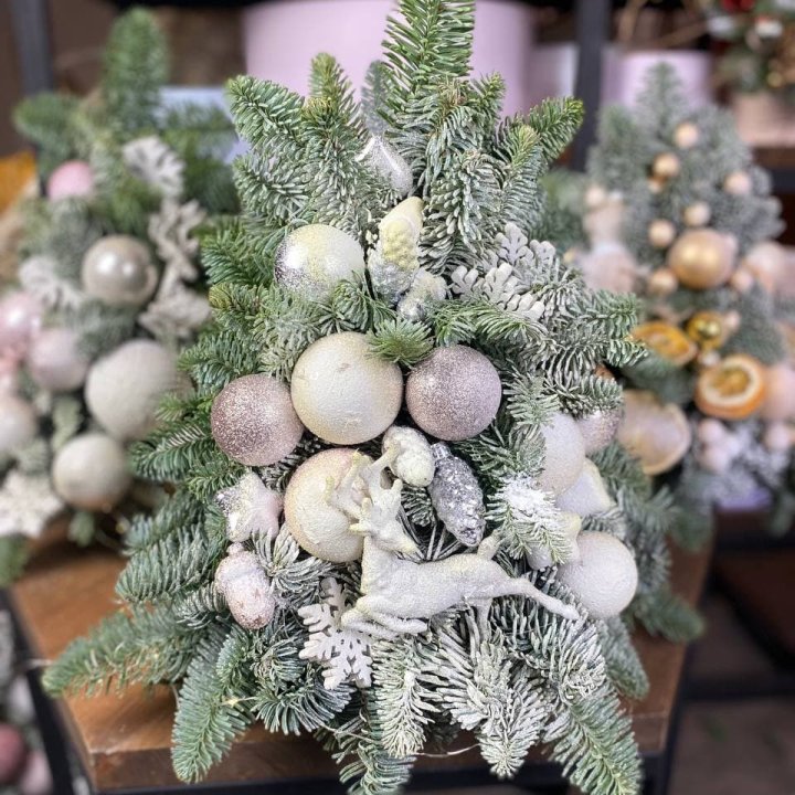 Ёлочка "Хепи крисмас" в Петрозаводске