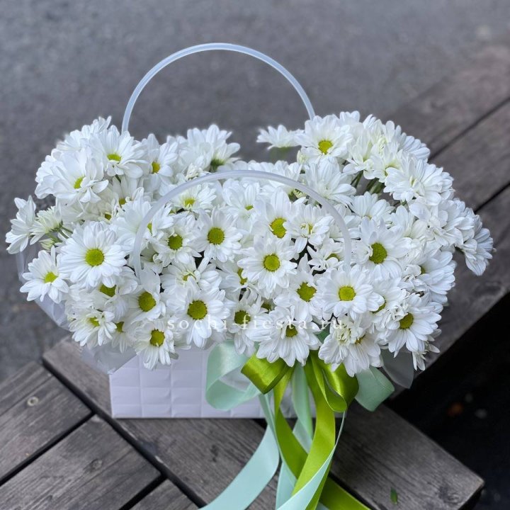 Сумка с хризантемами ромашками в Петрозаводске