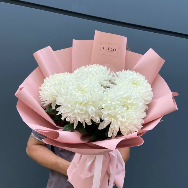 Профитроли №2 в Петрозаводске