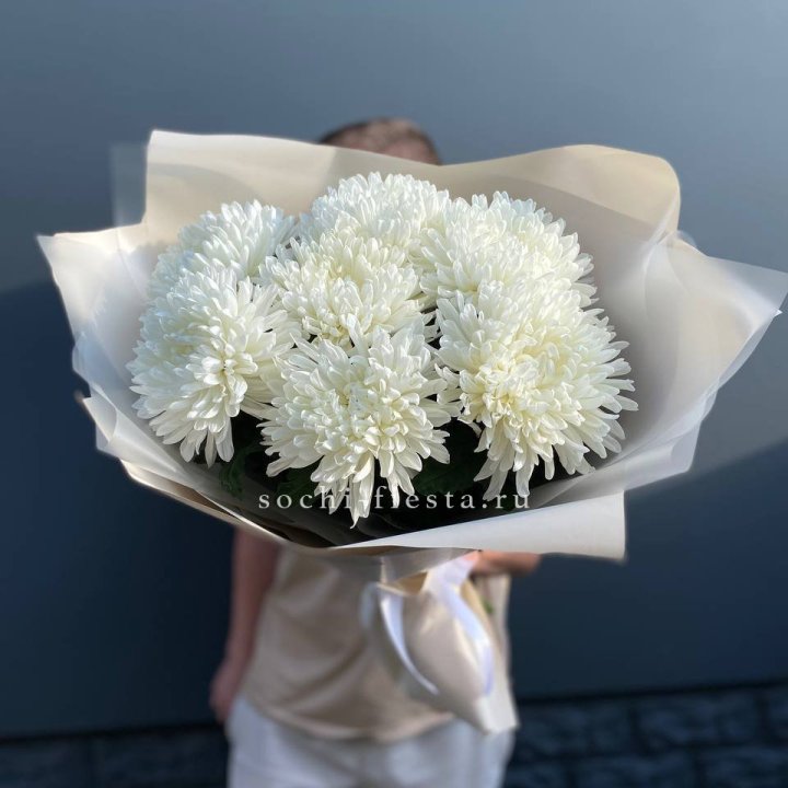 Профитроли в Петрозаводске