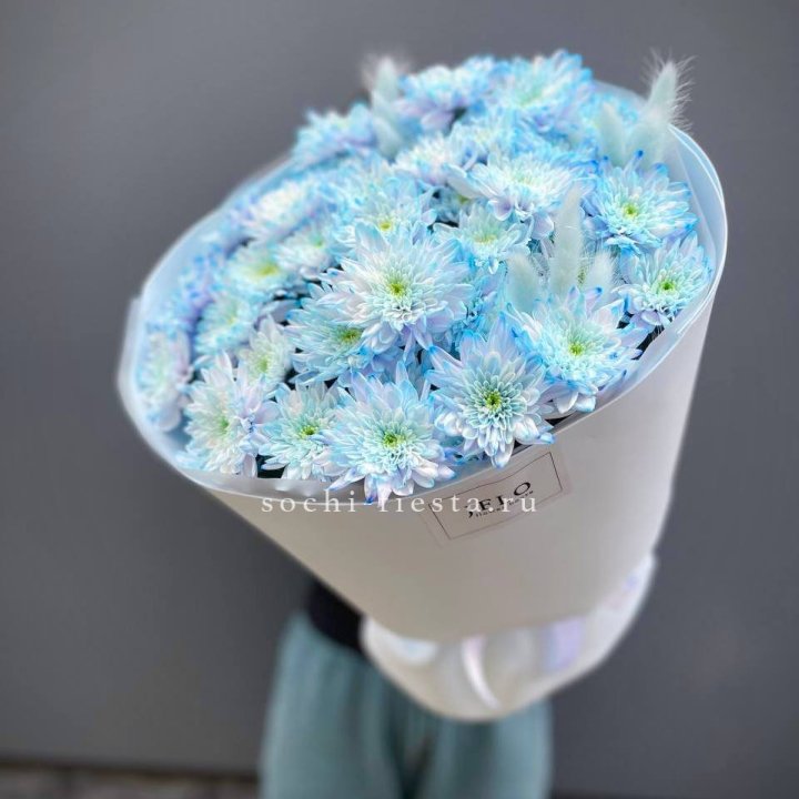 Букет нежно-голубых хризантем  в Петрозаводске