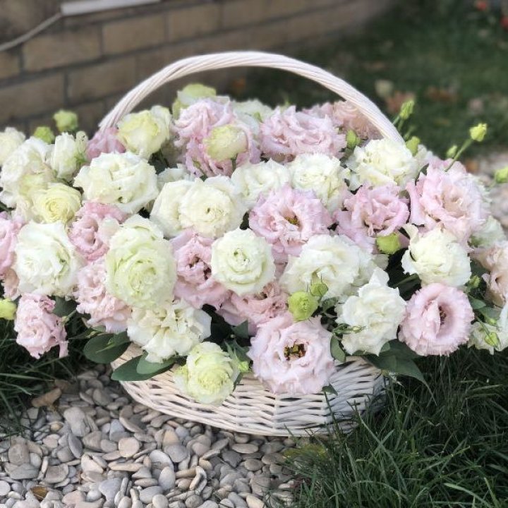 Корзина с эустомой в Петрозаводске