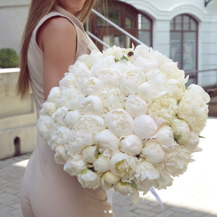 51 белый пион в Петрозаводске