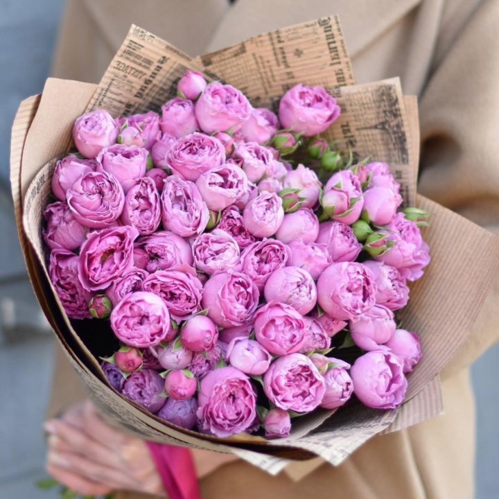 Роза Мисти Баблс в Петрозаводске