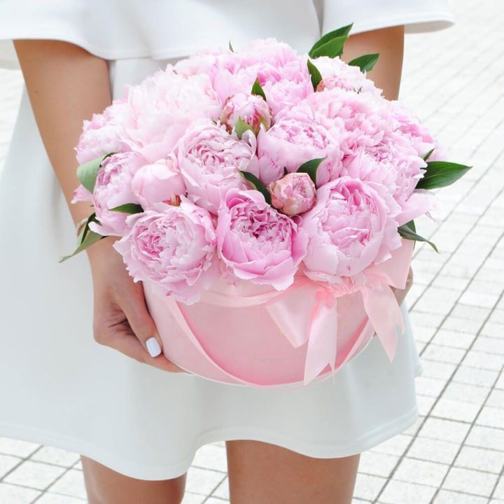 Пионы в шляпной коробке в Петрозаводске