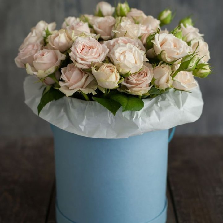 Бокс с бомбастиком в Петрозаводске