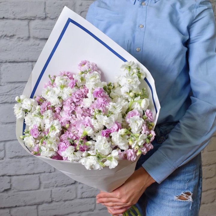 Маттиола в Петрозаводске