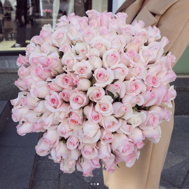 Розы "Пинк бум" в Петрозаводске