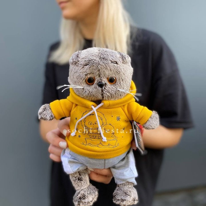 Кот Басик в худи в Петрозаводске