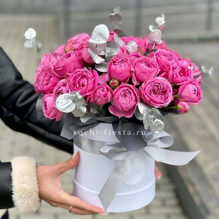 Бокс мисти баблс №2 в Петрозаводске