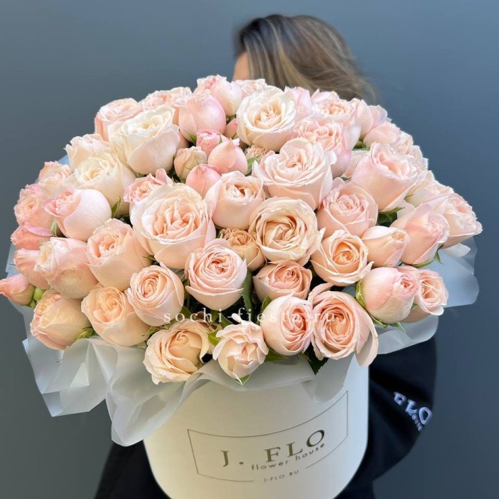 Бомбастик бокс Премьер в Петрозаводске