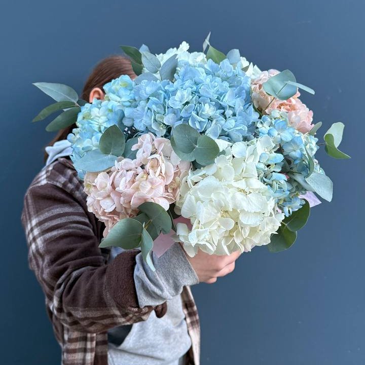 Гортензии в коробочке в Петрозаводске