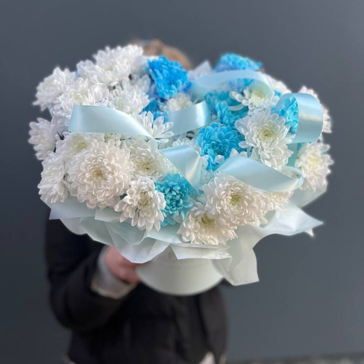 Хризнтемы в боксе в Петрозаводске