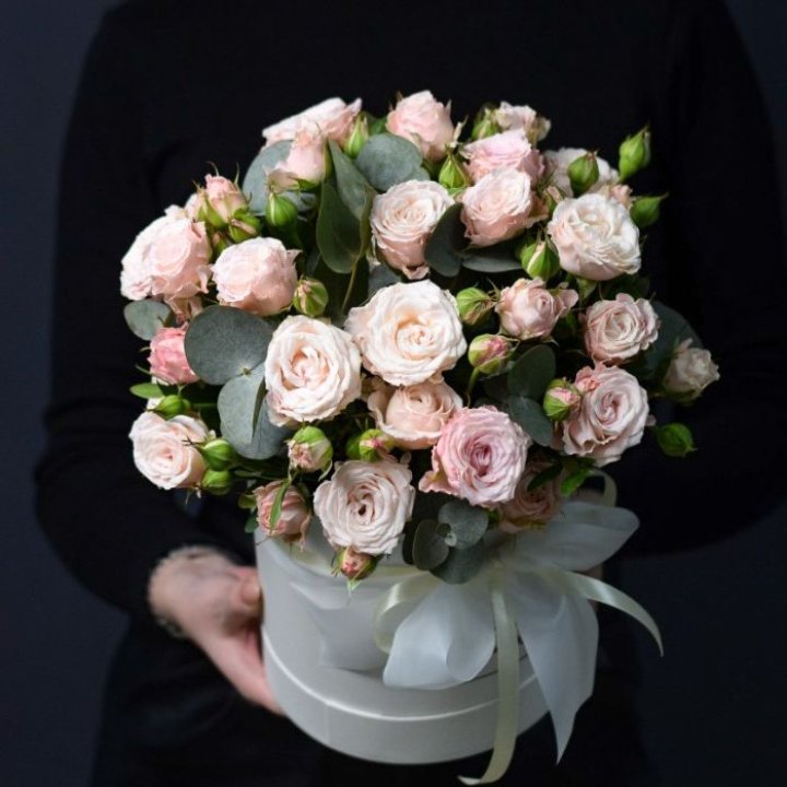 Бомбастик бокс №2 в Петрозаводске