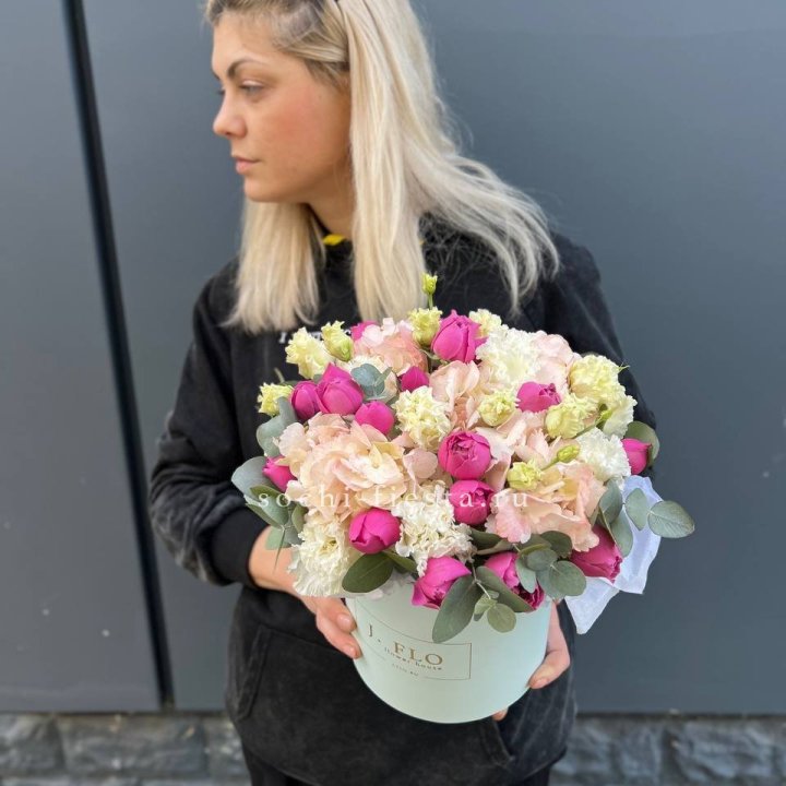 Сборный бокс премьер в Петрозаводске