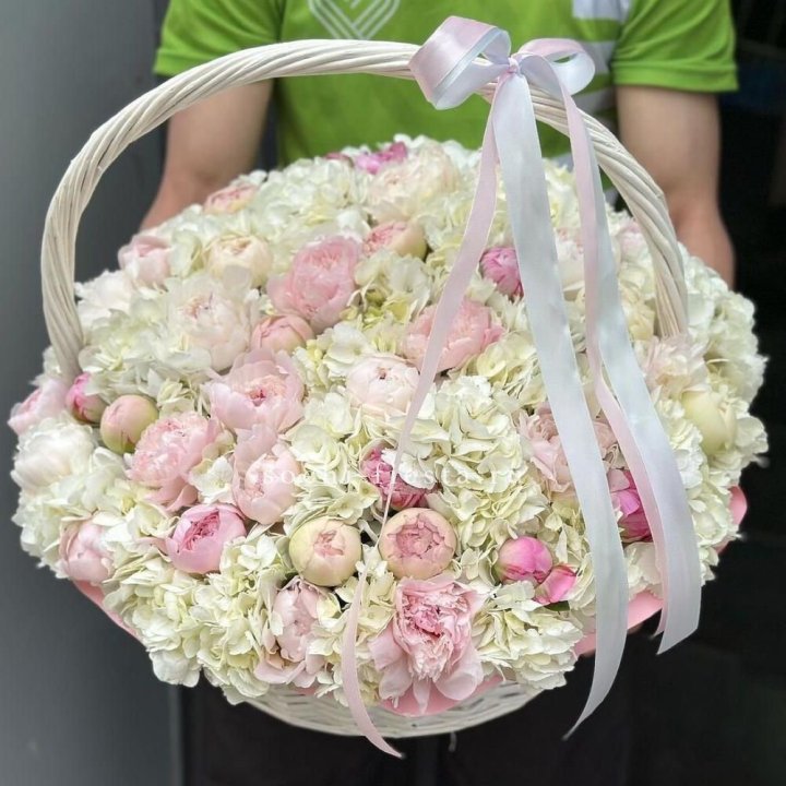 Премиум корзина гортензий и пионов в Петрозаводске