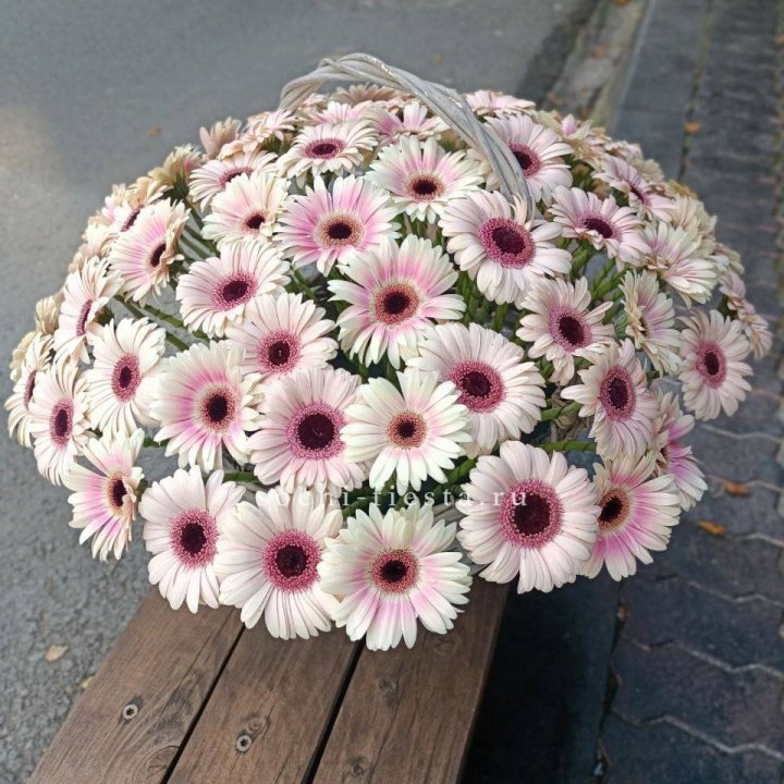 Корзина с герберами  в Петрозаводске