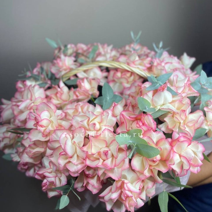 51 джумилия  в корзине   в Петрозаводске