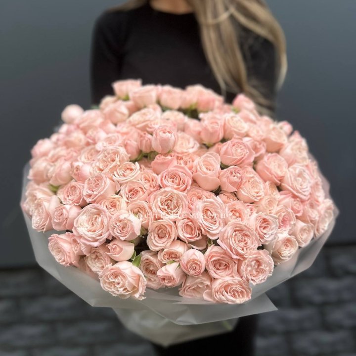 51 кустовая роза Бомбастик в Петрозаводске