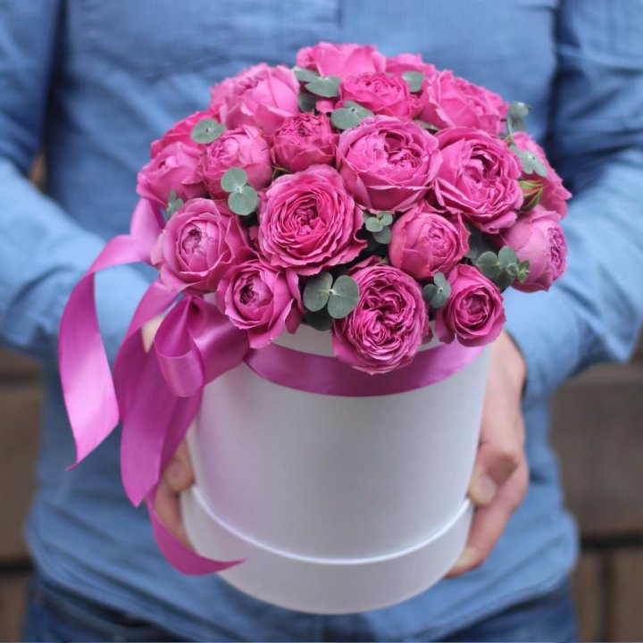 Бокс мисти баблс в Петрозаводске