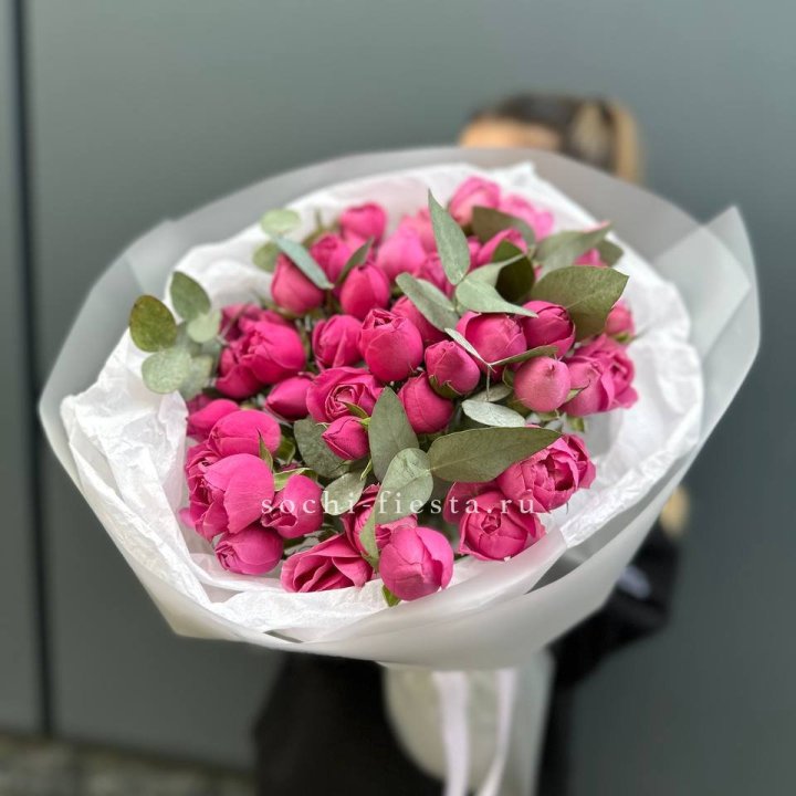 17 Мисти бабблс в Петрозаводске