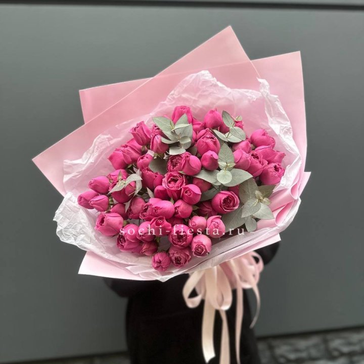 25 Мисти бабблс в Петрозаводске