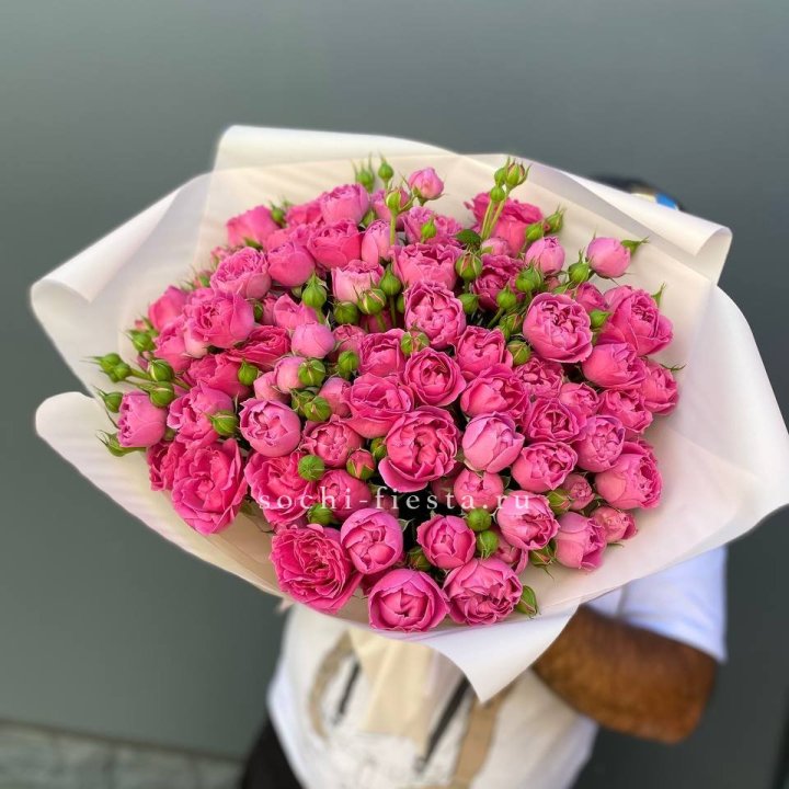 Мисти Баблс 35шт в Петрозаводске