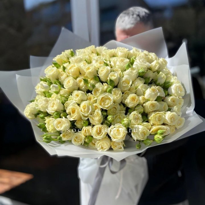 Белые кустовые розы 31 шт в Петрозаводске