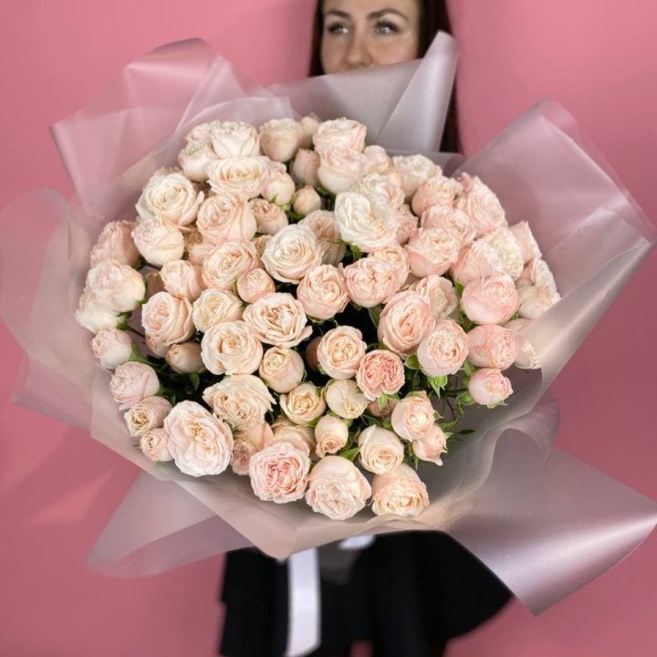 Carina в Петрозаводске