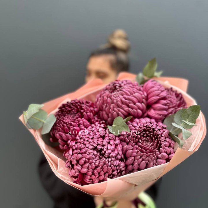 Хризантемы  Бигуди  в Петрозаводске