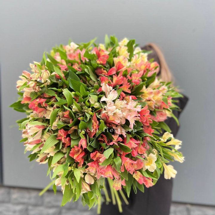 51 альстромерия в Петрозаводске