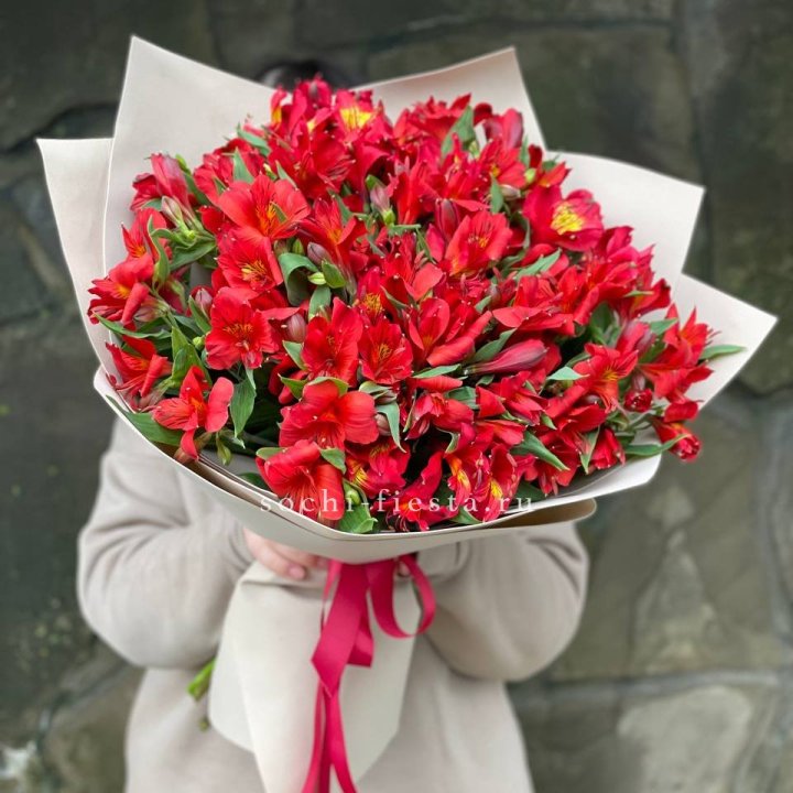 51 альстромерия в Петрозаводске
