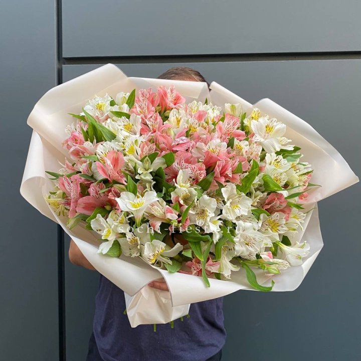 39 альстромерий в Петрозаводске