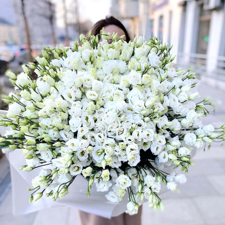 101 белая эустома в Петрозаводске