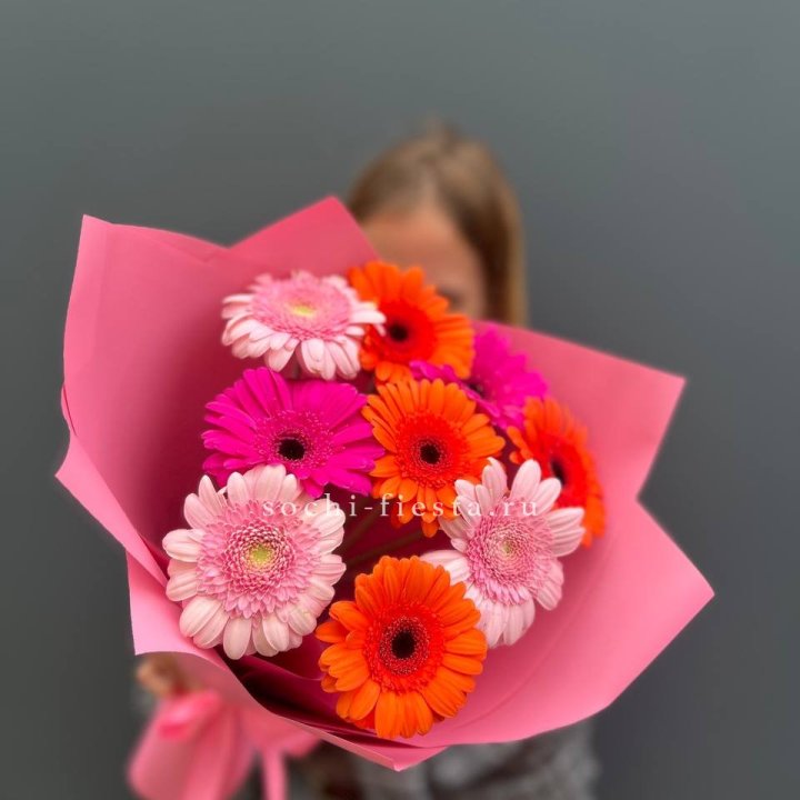 Краски в Петрозаводске