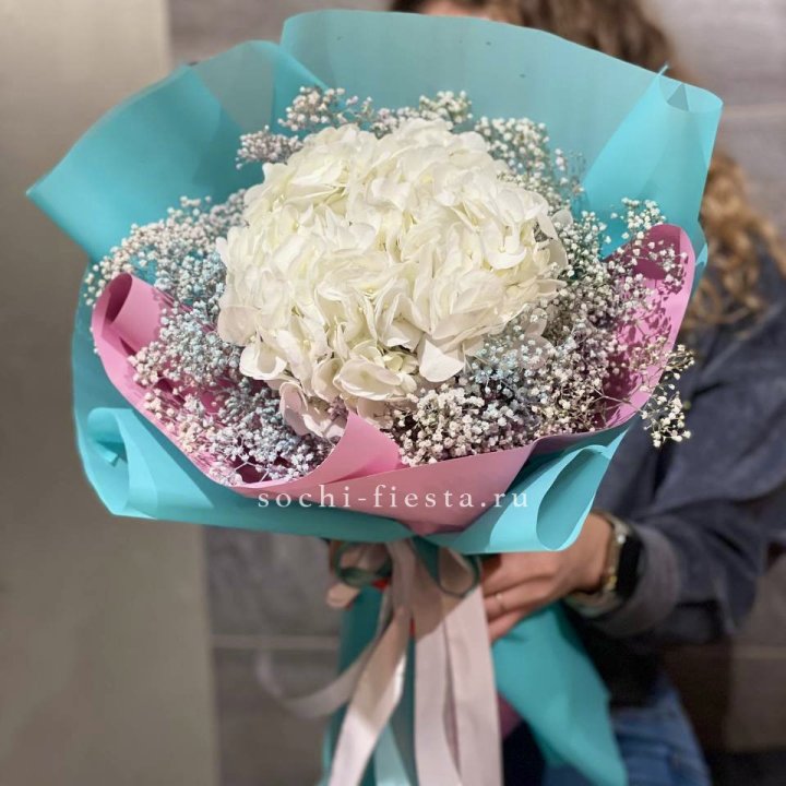 Гортензия "Райдов" в Петрозаводске