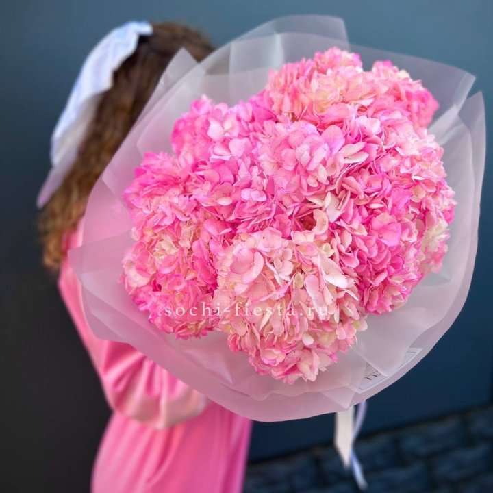 7 ярко розовых гортензий в Петрозаводске