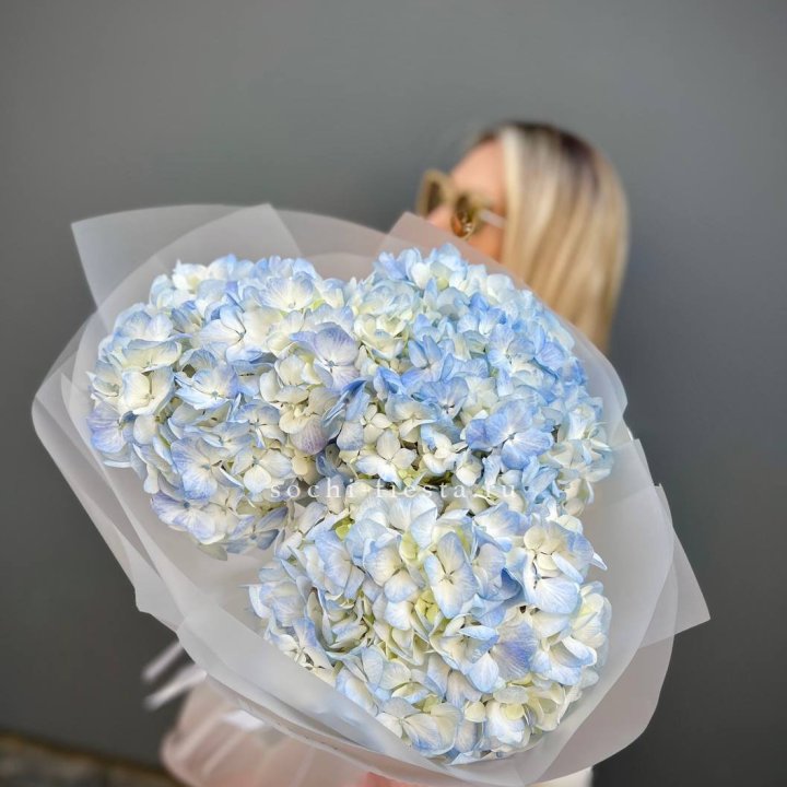 Букет из 3 голубых гортензий  в Петрозаводске