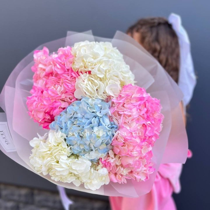 7 гортензий микс в Петрозаводске