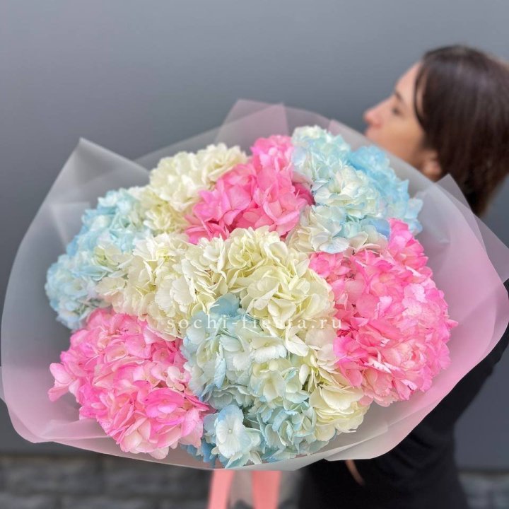 9 гортензий микс в Петрозаводске