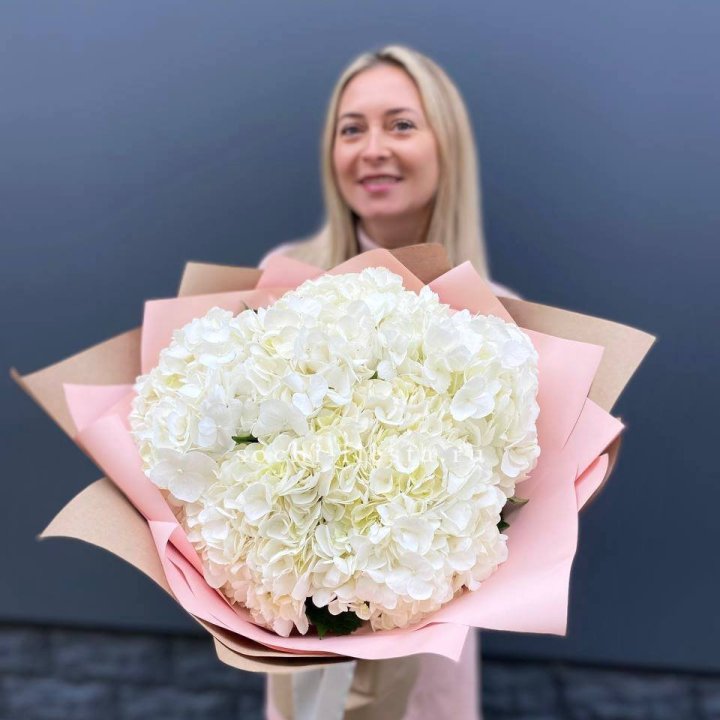 Гортензия белая в Петрозаводске