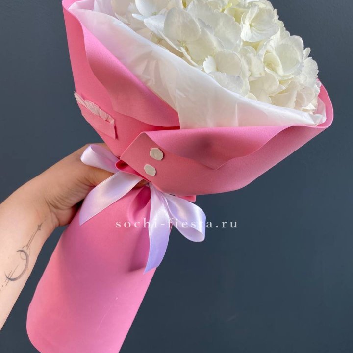 Гортензия в розовом пиджаке в Петрозаводске