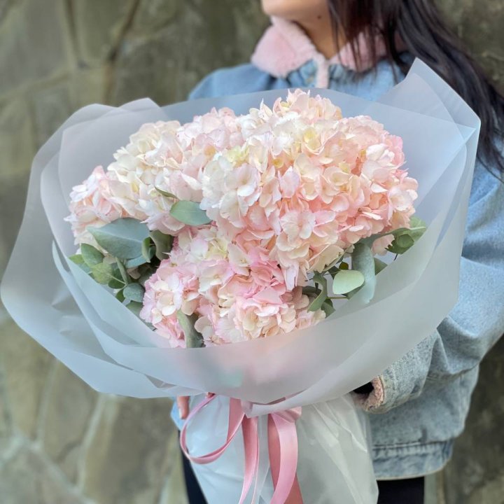 5 розовых гортензий в Петрозаводске