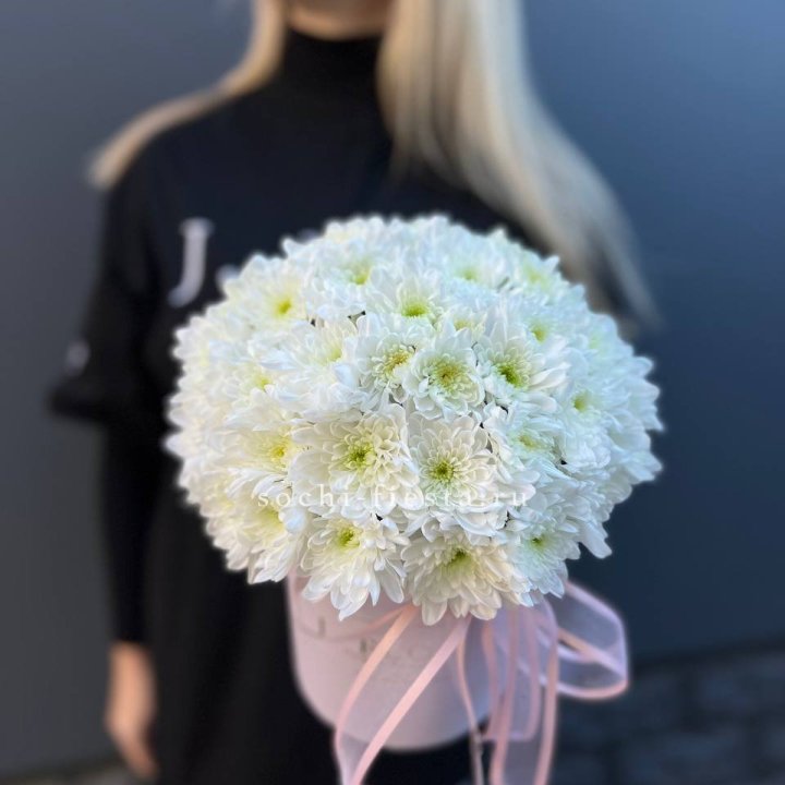 Коробка с хризантемами №1 в Петрозаводске