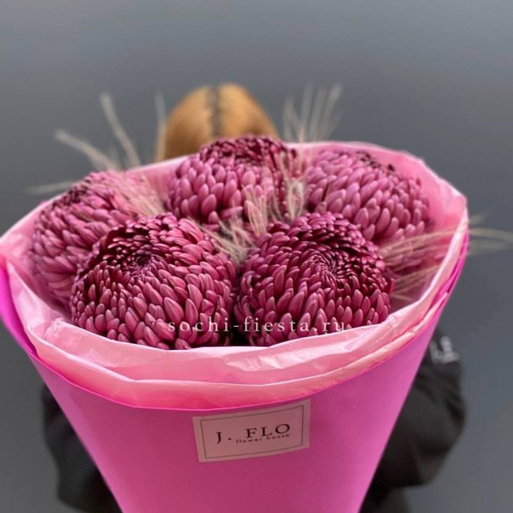 Хризантемы  Бигуди с стифой в Петрозаводске