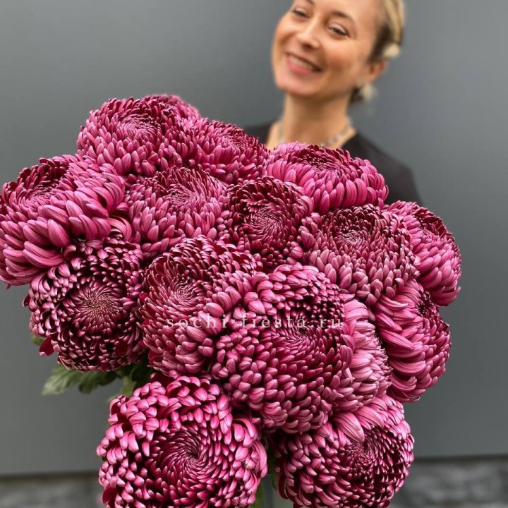 Охапка хризантем Бигуди в Петрозаводске