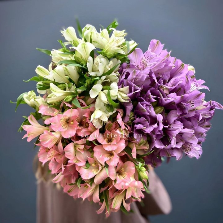 Охапка Альстромерии в Петрозаводске